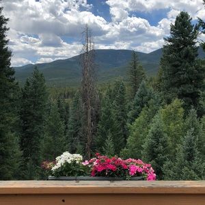 Meet your Posher, Dana